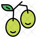 پیش‌نمایش فایل olives-6452035 از پک میوه