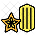 پیش‌نمایش فایل star-fruit-6452045 از پک میوه