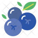 پیش‌نمایش فایل blueberries-6452091 از پک میوه
