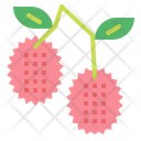 پیش‌نمایش فایل lychee-6452104 از پک میوه