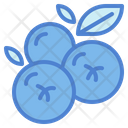 پیش‌نمایش فایل blueberries-6452163 از پک میوه