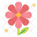 پیش‌نمایش فایل flowers-6451708 از پک بهار