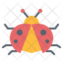 پیش‌نمایش فایل ladybug-6451714 از پک بهار