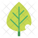پیش‌نمایش فایل plant-6451717 از پک بهار
