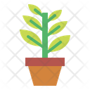 پیش‌نمایش فایل plant-6451718 از پک بهار
