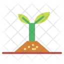 پیش‌نمایش فایل sprout-6451723 از پک بهار