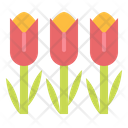 پیش‌نمایش فایل tulips-6451728 از پک بهار