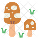 پیش‌نمایش فایل mushroom-6777821 از پک پیکنیک
