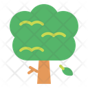 پیش‌نمایش فایل tree-6777837 از پک پیکنیک