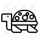 پیش‌نمایش فایل turtle-6794019 از پک حیوان