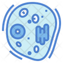 پیش‌نمایش فایل cell-6829923 از پک علم