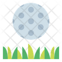 پیش‌نمایش فایل grass-6831155 از پک گلف