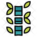 پیش‌نمایش فایل bamboo-6852957 از پک اسپا
