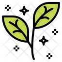 پیش‌نمایش فایل plant-6852980 از پک اسپا