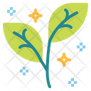 پیش‌نمایش فایل plant-6853052 از پک اسپا