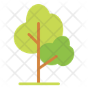 پیش‌نمایش فایل tree-6931011 از پک سفر