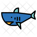 پیش‌نمایش فایل shark-6931074 از پک رانندگی