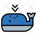 پیش‌نمایش فایل whale-6931085 از پک رانندگی