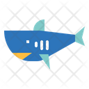 پیش‌نمایش فایل shark-6931146 از پک رانندگی