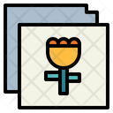 پیش‌نمایش فایل gallery-6931751 از پک عکس و دوربین
