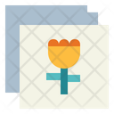 پیش‌نمایش فایل gallery-6931823 از پک عکس و دوربین