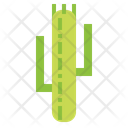پیش‌نمایش فایل cactus-6932104 از پک تعطیلات تابستانی