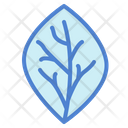 پیش‌نمایش فایل leaf-6934622 از پک فصل ها