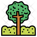 پیش‌نمایش فایل tree-6934870 از پک خانواده
