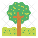 پیش‌نمایش فایل tree-6934942 از پک خانواده