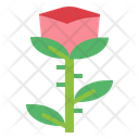 پیش‌نمایش فایل rose-6935627 از پک عروسی
