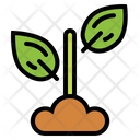 پیش‌نمایش فایل plant-6942254 از پک اکو