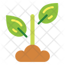 پیش‌نمایش فایل plant-6942326 از پک اکو
