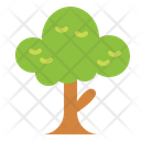 پیش‌نمایش فایل tree-6942335 از پک اکو