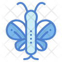 پیش‌نمایش فایل butterfly-6942346 از پک اکو