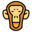 پیش‌نمایش فایل monkey-6943371 از پک سافاری