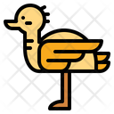 پیش‌نمایش فایل ostrich-6943372 از پک سافاری