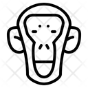 پیش‌نمایش فایل monkey-6943407 از پک سافاری