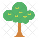 پیش‌نمایش فایل tree-6943450 از پک سافاری