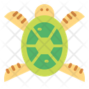 پیش‌نمایش فایل turtle-6945774 از پک حیوانات خانگی