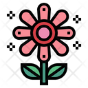 پیش‌نمایش فایل flower-6947216 از پک هیپی و صلح