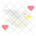 پیش‌نمایش فایل dove-6947284 از پک هیپی و صلح