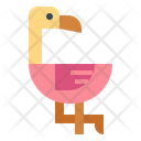 پیش‌نمایش فایل flamingo-6965161 از پک باغ وحش