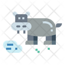 پیش‌نمایش فایل hippopotamus-6969541 از پک آفریقا