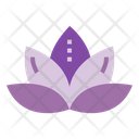 پیش‌نمایش فایل lotus-6985233 از پک ماساژ و اسپا