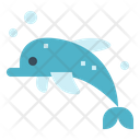 پیش‌نمایش فایل dolphin-6986442 از پک هاوایی