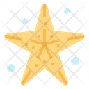 پیش‌نمایش فایل starfish-6986459 از پک هاوایی