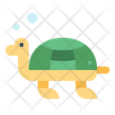 پیش‌نمایش فایل turtle-6986463 از پک هاوایی