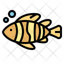 پیش‌نمایش فایل fish-6986672 از پک تابستان