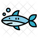 پیش‌نمایش فایل shark-6986683 از پک تابستان