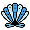 پیش‌نمایش فایل shell-6986684 از پک تابستان